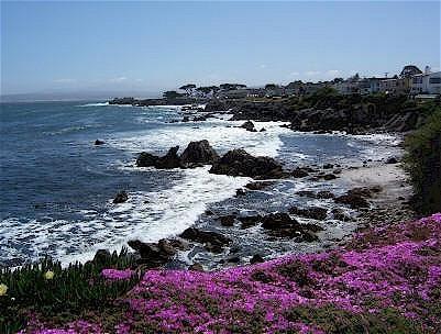 Monterey Peninsula Inn Пасифик Гроув Екстериор снимка